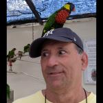 Profile picture for user Josh Bloom
